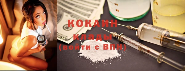 стаф Аркадак