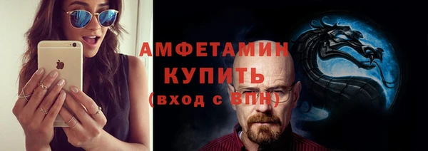 стаф Аркадак
