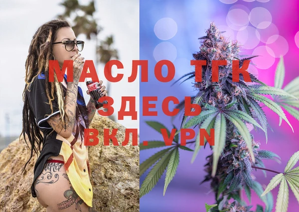 стаф Аркадак