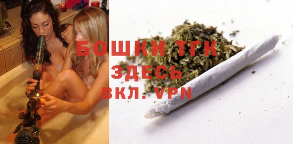стаф Аркадак