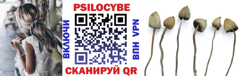 Псилоцибиновые грибы GOLDEN TEACHER  Байкальск 